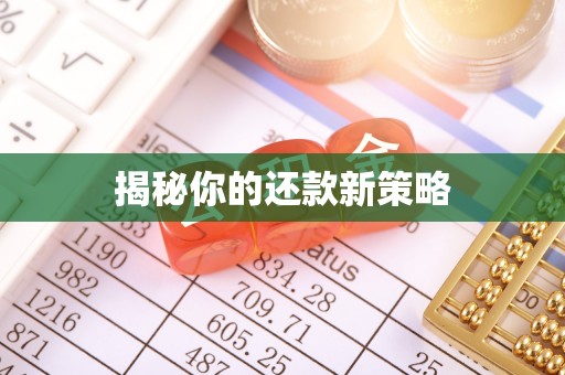 柏乡揭秘你的还款新策略