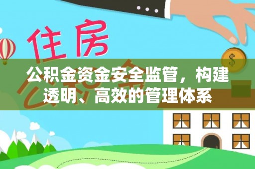 柏乡公积金资金安全监管，构建透明、高效的管理体系