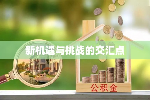 柏乡新机遇与挑战的交汇点