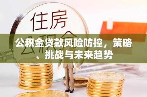 柏乡公积金贷款风险防控，策略、挑战与未来趋势