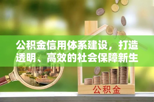 柏乡公积金信用体系建设，打造透明、高效的社会保障新生态