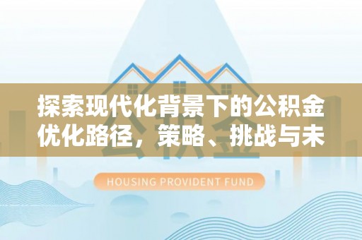 柏乡探索现代化背景下的公积金优化路径，策略、挑战与未来展望
