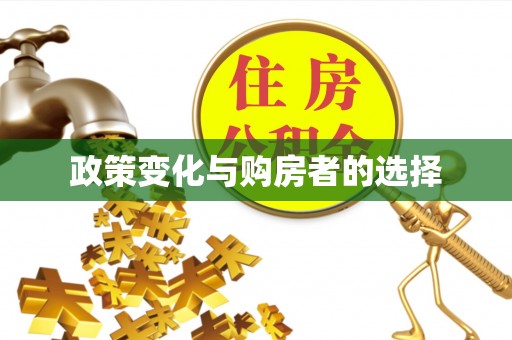 柏乡政策变化与购房者的选择