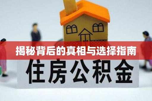柏乡揭秘背后的真相与选择指南